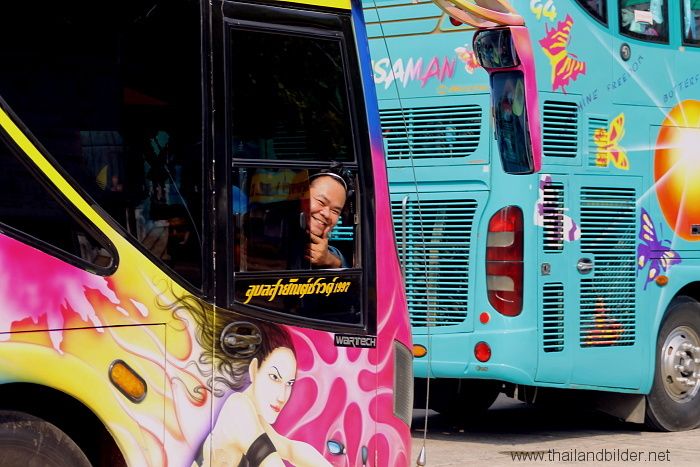 bunte fahrzeuge smile fahrer