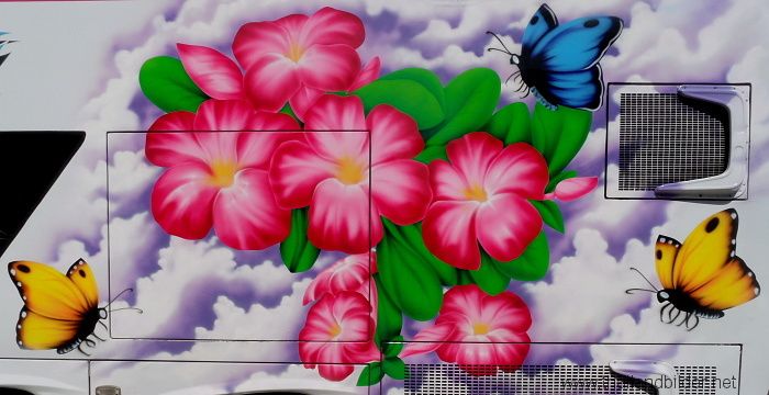 air brush blume schmetterling