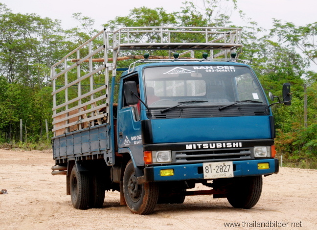 Kleinlastwagen mitsubishi