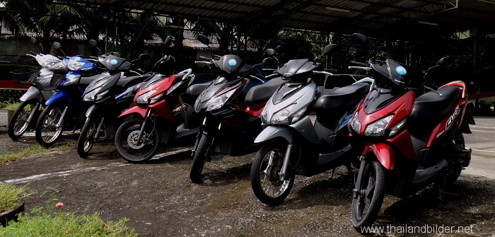 bild roller vermietung