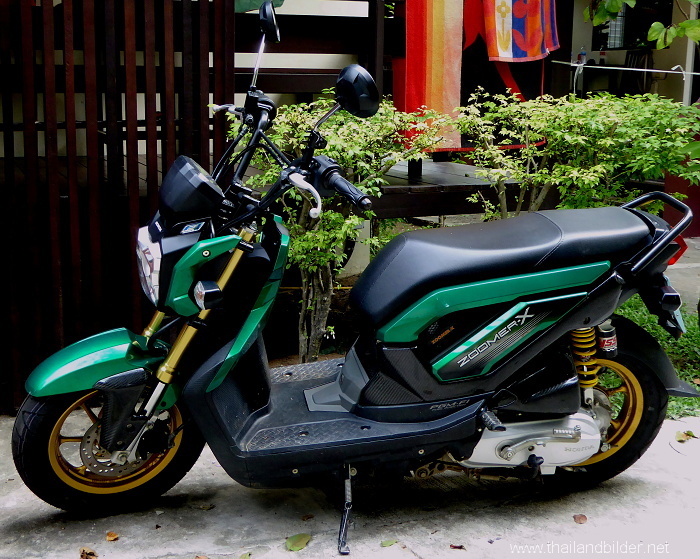 bild roller zoomer x